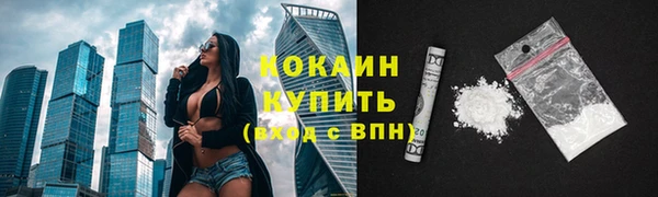 амф Магас