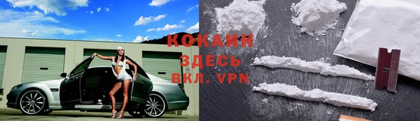 амф Магас