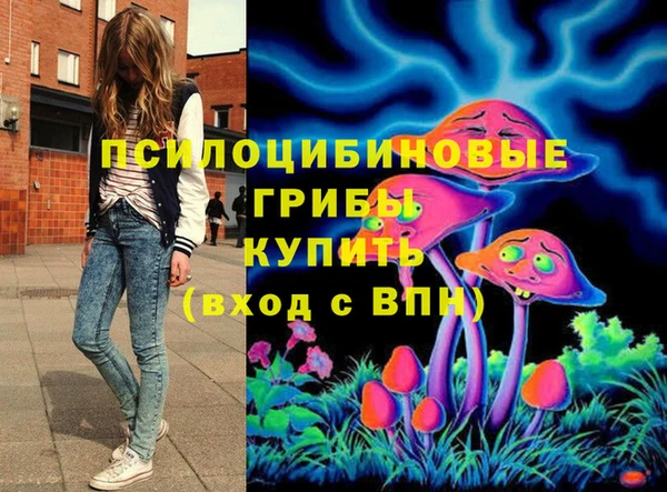 хмурый Майский